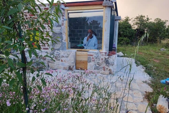 Private Bee Safari in Zadar: Apitherapy, Forest Walks & Honey Tasting photo 3