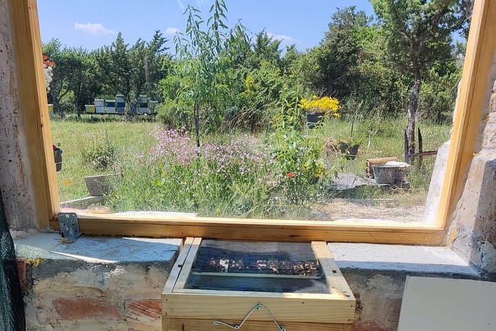 Private Bee Safari in Zadar: Apitherapy, Forest Walks & Honey Tasting photo 5