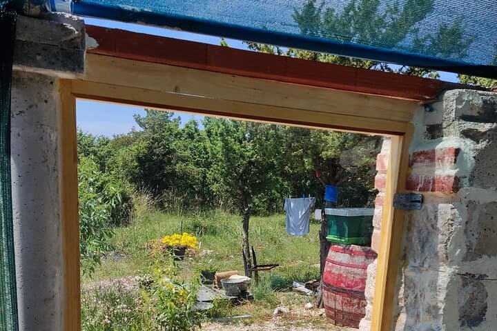 Private Bee Safari in Zadar: Apitherapy, Forest Walks & Honey Tasting photo 6