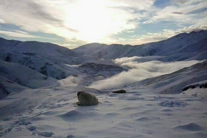 Khinalig Village Tour: High-Mountain Journey to Azerbaijan’s Ancient Alpine Hamlet photo 6