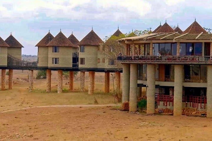 Overnight Safari to Salt Lick Lodge: 2-Day Game Drive from Mombasa photo 4