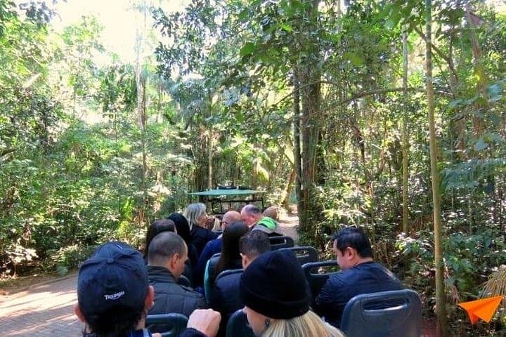 Full-Day Iguassu Falls Tour with Helicopter Overflight and Macuco Boat Safari photo 4