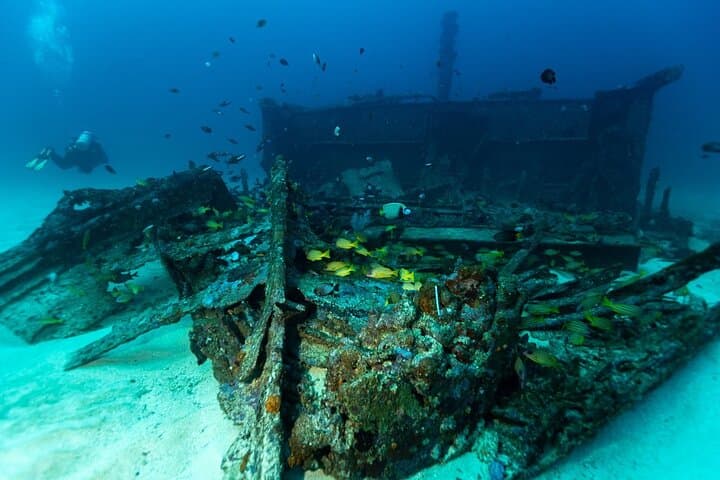 Wreck Diving Colombo: Explore Historic Shipwrecks and Vibrant Reefs photo 2