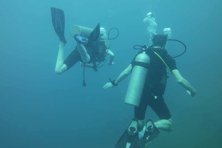 Wreck Diving Colombo: Explore Historic Shipwrecks and Vibrant Reefs photo 5
