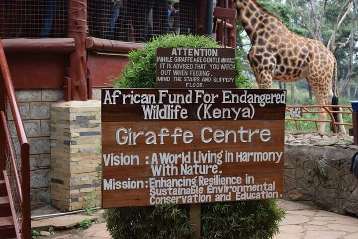 hand-feed-rothschild-giraffes-private-tour-giraffe-centre-nairobi photo 4