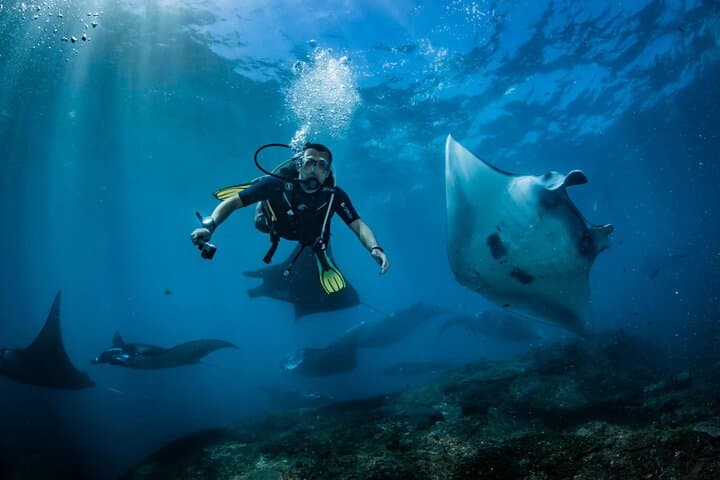 Nusa Penida Diving: Discover Scuba with Manta Rays & Turtles photo 2
