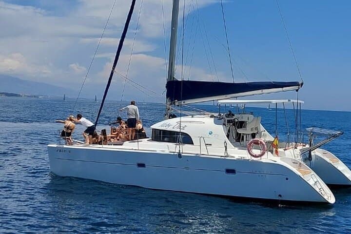 Estepona Catamaran Dolphin Trip – 2-Hour Sea Swim & Sunset Views