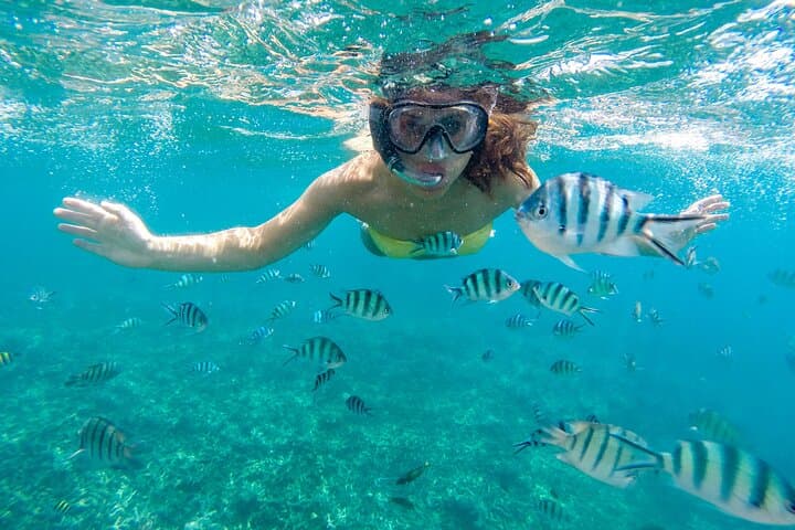 Private Glass-Bottom Snorkel Tour in Nassau Harbor — 2-Hour Semi-Submersive Boat Experience