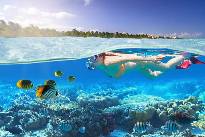 Private Glass-Bottom Snorkel Tour in Nassau Harbor — 2-Hour Semi-Submersive Boat Experience photo 2