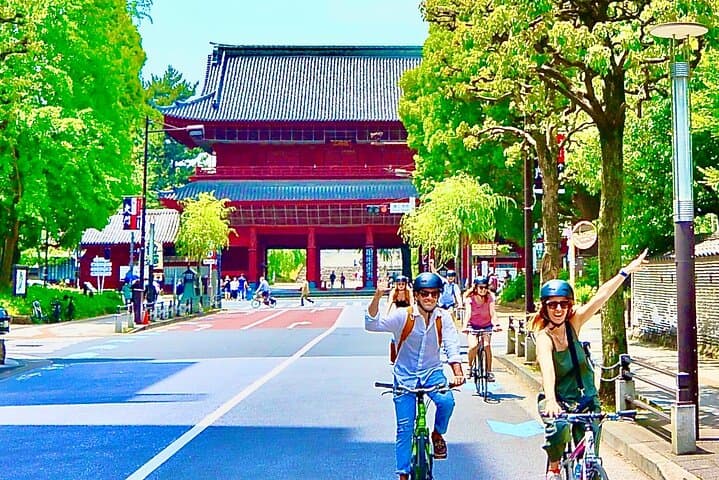 Tokyo Small-Group Guided Biking Tour: Shrines, Ginza & Waterfront Views