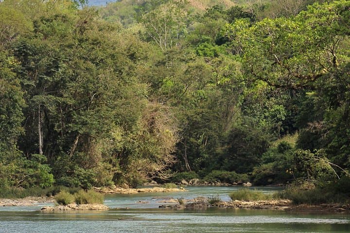 Semuc Champey Village Cultural Walk: Semil Trail & Local Food Experience photo 3