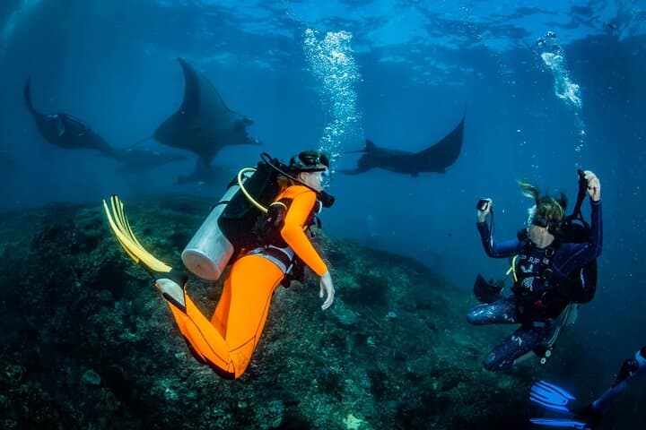 Nusa Penida Diving: Discover Scuba with Manta Rays & Turtles