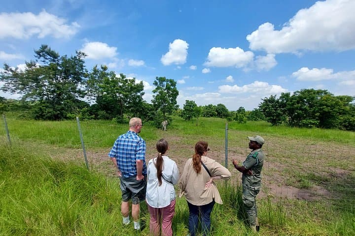 Accra Safari Experience: Shai Hills Game Reserve & City Zoo Tour photo 1
