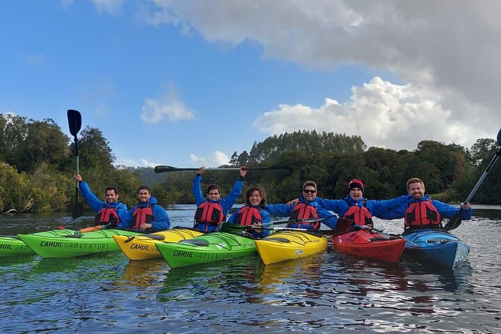 Guided Kayak Tour on the Maullín River — Half-Day from Puerto Varas photo 3