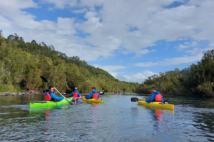 Guided Kayak Tour on the Maullín River — Half-Day from Puerto Varas photo 6