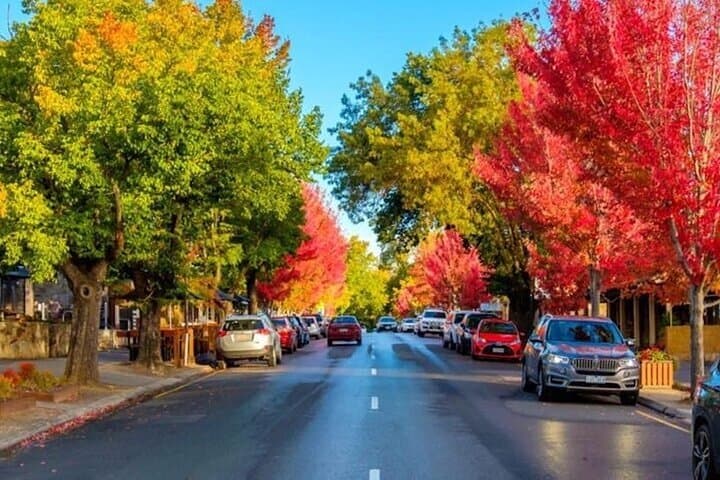 Best of SA Hahndorf & Victor Harbor Full-Day Tour from Adelaide photo 5