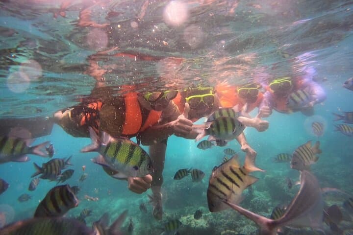 Private Long-Tail Boat Charter from Ao Nang to Hong or Phi Phi Islands photo 5