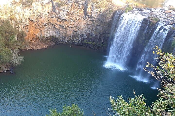 Port Macquarie Waterfalls and Lookouts Day Tour to Dorrigo and Dangar Falls