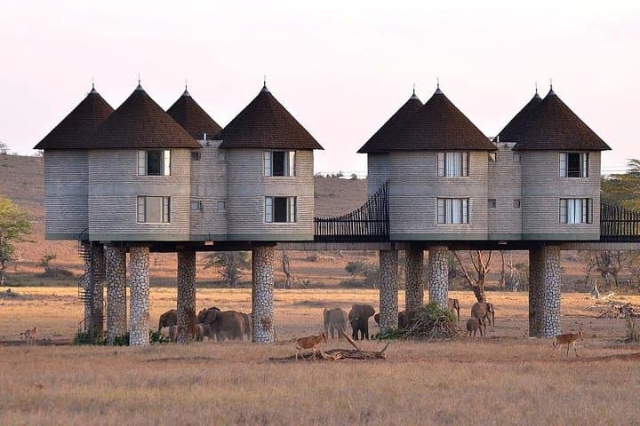 3-Day Salt Lick Safari from Nairobi — Saltlick Lodge & Taita Hills Game Drives photo 4