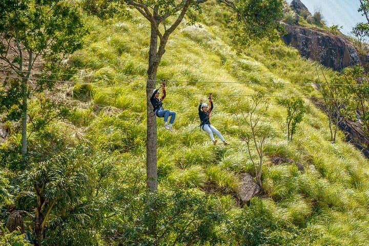 Zip Lining in Ella: Mini Adam's Peak High-Speed Zipline Over Tea Estates photo 5