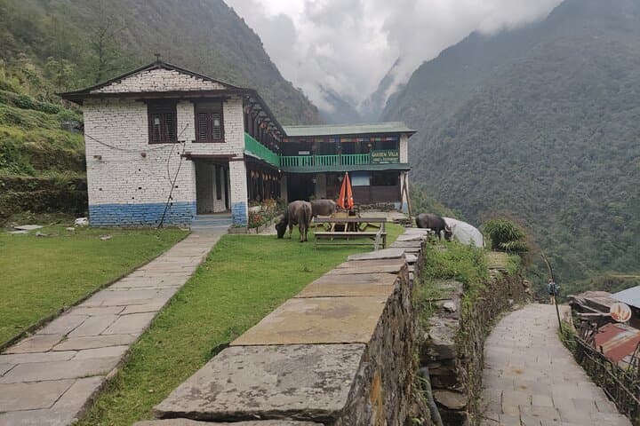 Private 12-Day Annapurna Base Camp Trek — All-Inclusive Guided Expedition from Kathmandu photo 6