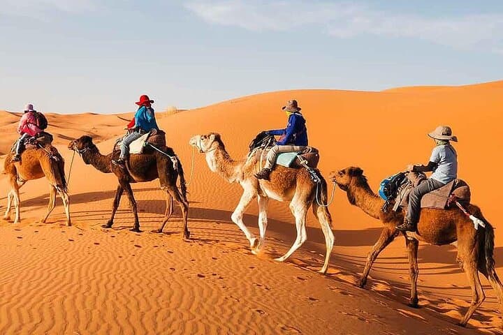 Marrakech to the Sahara: 7-Night Tour with Aït Benhaddou and Camel Trek photo 2