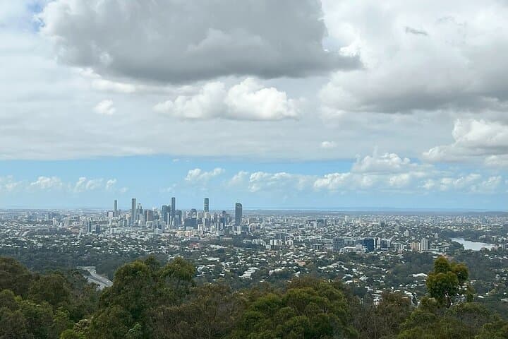Brisbane Highlights & Lone Pine Koala Sanctuary: A Small-Group Shore Excursion photo 2