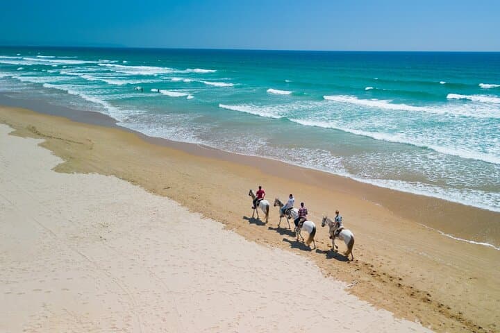 Horseback Riding Near Lisbon: Costa da Caparica Beach, Pine Forest & Arrábida Mountain (2-Hour Options) photo 4