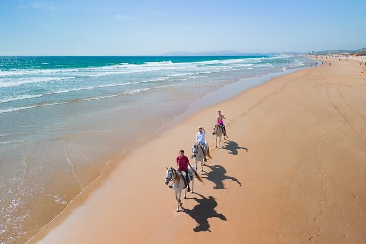 Horseback Riding Near Lisbon: Costa da Caparica Beach, Pine Forest & Arrábida Mountain (2-Hour Options) photo 3