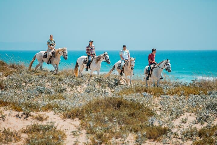 Horseback Riding Near Lisbon: Costa da Caparica Beach, Pine Forest & Arrábida Mountain (2-Hour Options) photo 6