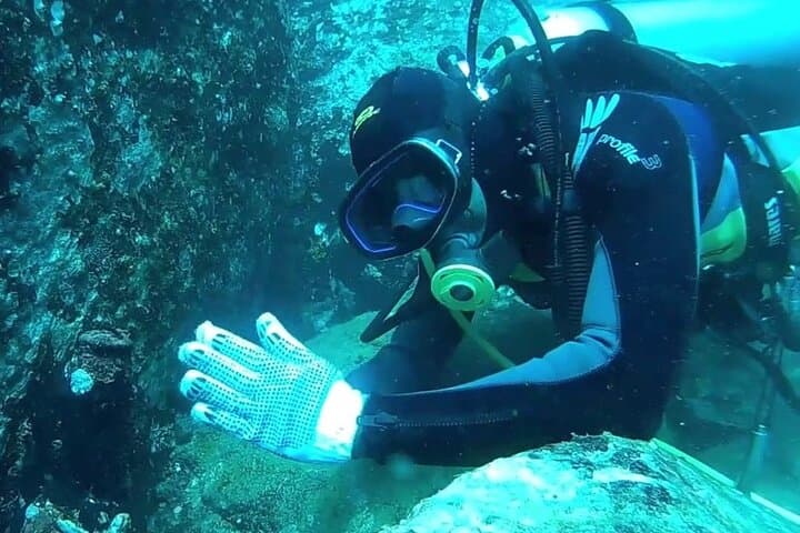 Trincomalee Scuba Diving: 3-Hour Guided Dives for Whale Sharks & Coral