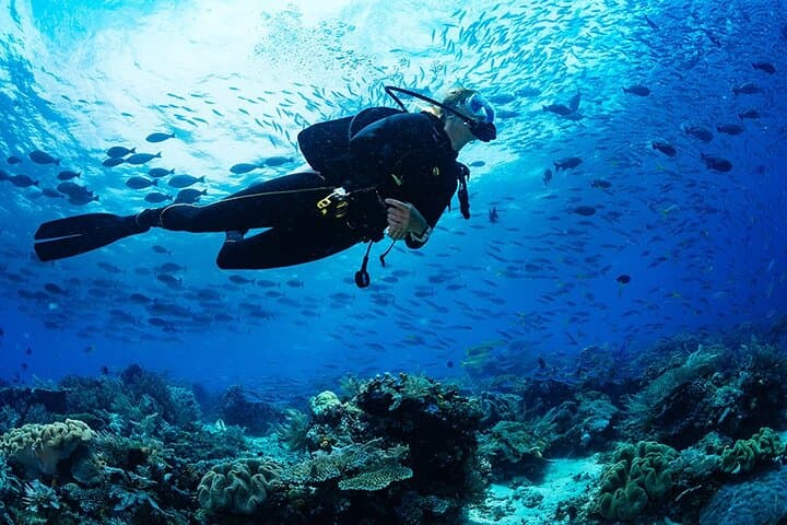 Trincomalee Scuba Diving: 3-Hour Guided Dives for Whale Sharks & Coral photo 2