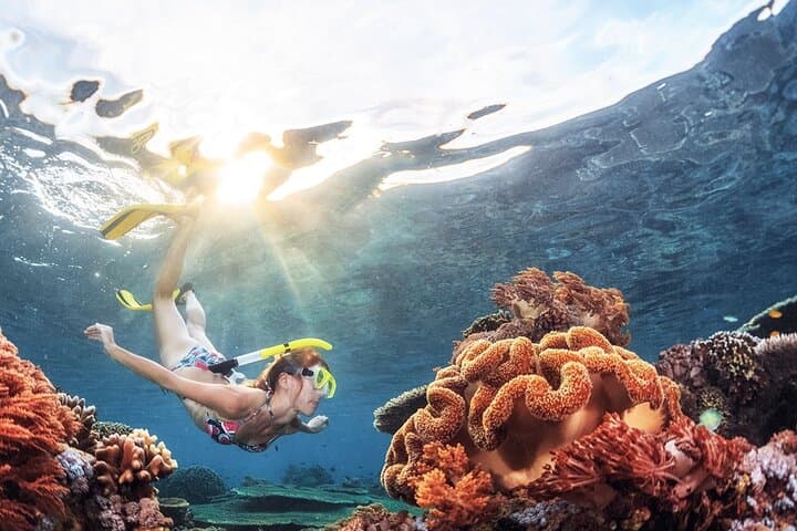 Morning Snorkel in Trincomalee: Coral Reefs, Turtles & Pigeon-Cliff Views