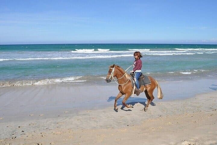 Beach Horseback Riding at Macao Beach — Punta Cana Guided Ride photo 3