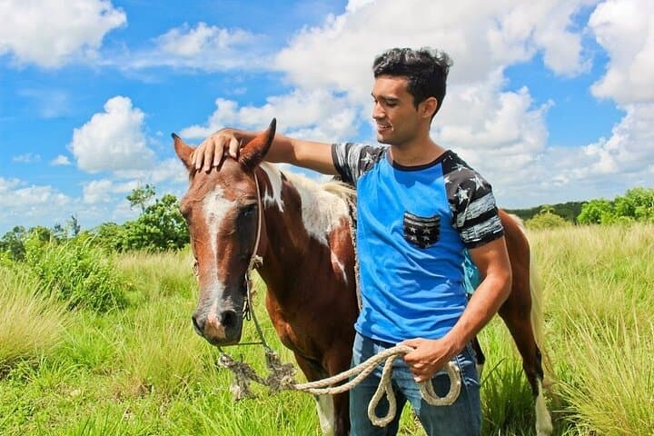 Beach Horseback Riding at Macao Beach — Punta Cana Guided Ride photo 2