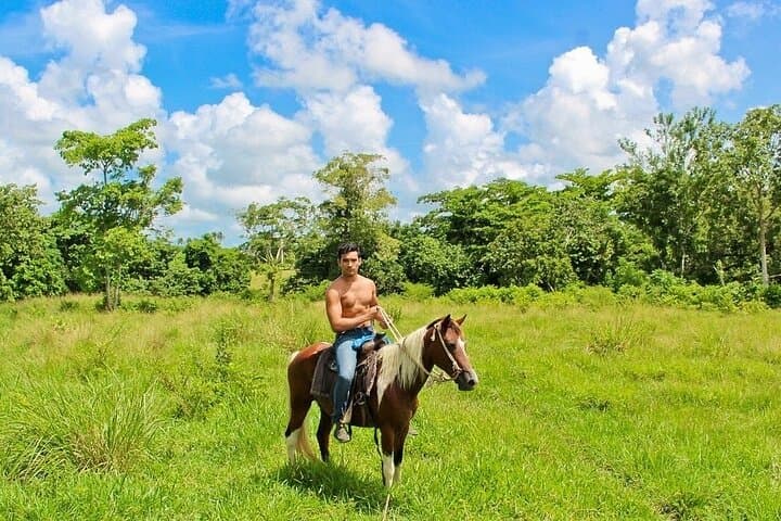 Beach Horseback Riding at Macao Beach — Punta Cana Guided Ride photo 4