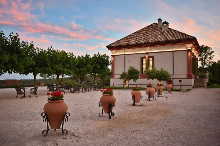 Catalunya Gourmet Winery Tour: 8-Course Wine-Paired Lunch from Barcelona photo 4