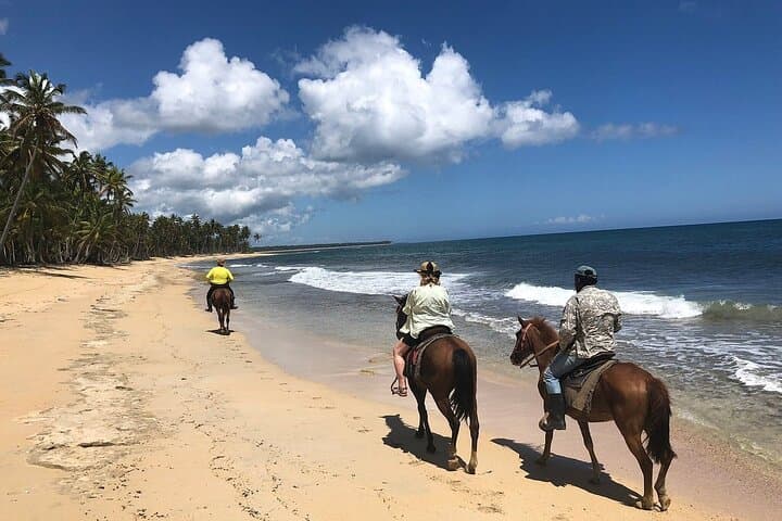 Beach Horseback Riding at Macao Beach — Punta Cana Guided Ride