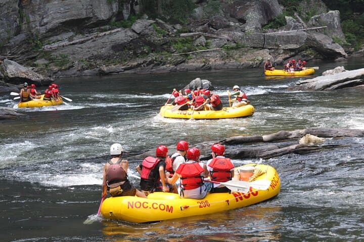 Chattooga River Rafting Section III: Family-Friendly Wild and Scenic Float