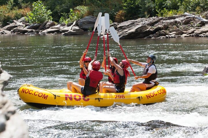 Chattooga River Rafting Section III: Family-Friendly Wild and Scenic Float photo 4