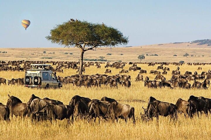 4-Day Luxury Safari: Masai Mara & Lake Nakuru by 4x4 Jeep photo 2