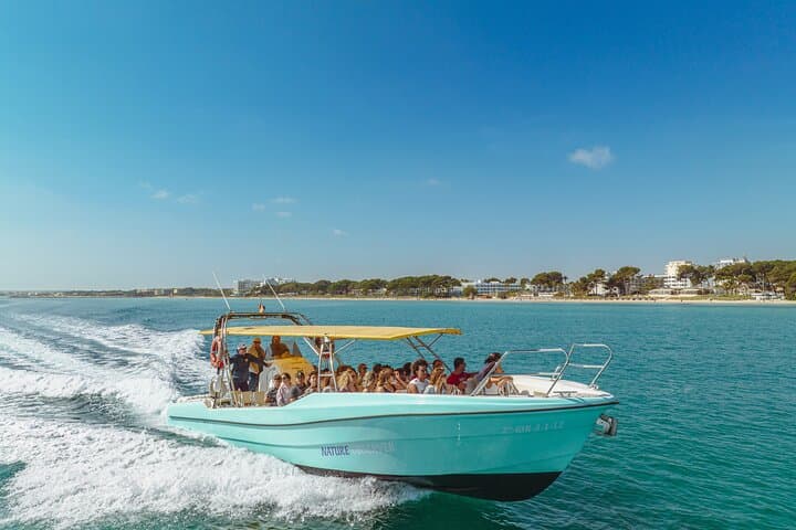 2-Hour Relaxing Boat Trip in Alcúdia — Crystal-Clear Waters & Snorkeling photo 6