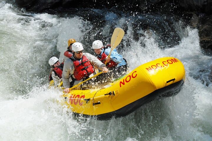Chattooga River Section 4 Rafting: Class IV–V Whitewater on a Wild & Scenic River