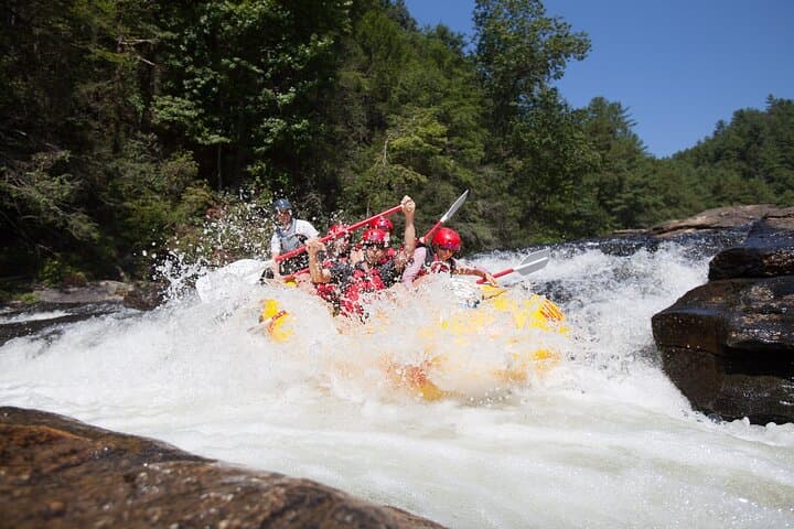 Chattooga River Section 4 Rafting: Class IV–V Whitewater on a Wild & Scenic River photo 5