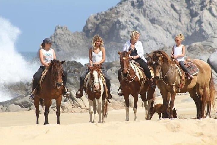 Pick 2 Adventure Combo in Cabo: ATV, RZR, Horseback & Snorkel photo 5