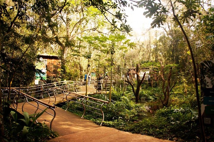 Parque das Aves Bird Park: Iguassu Falls Guided Admission & Tour photo 6
