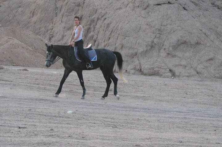 Motorcycle Dune Safari & Bedouin Camp in Sharm El Sheikh photo 3