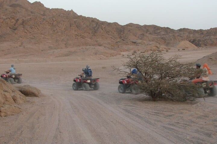 Motorcycle Dune Safari & Bedouin Camp in Sharm El Sheikh photo 6