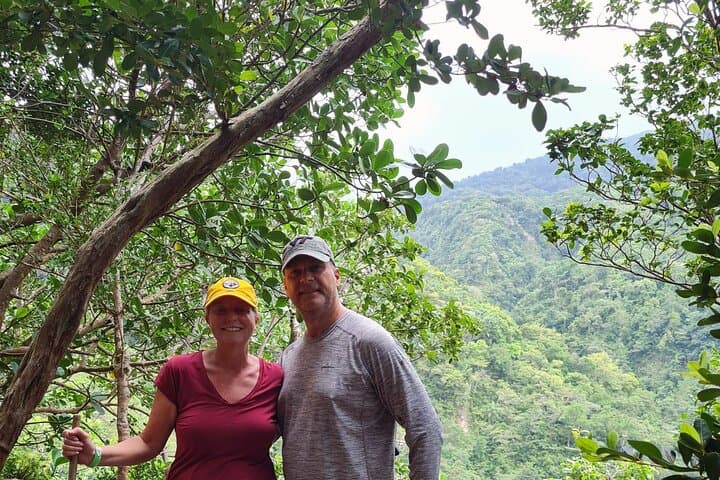Basseterre Rainforest Hike — Wingfield Estate Tropical Trail Guide photo 2