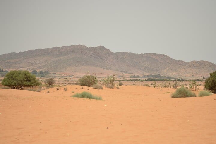 Agadir 4x4 Desert & Coastal Dunes — Massa Birds, Tiznit Walls and Berber Lunch photo 6